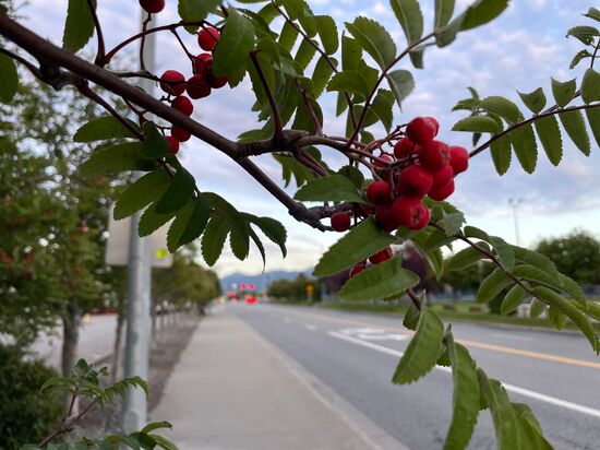 US Alaska