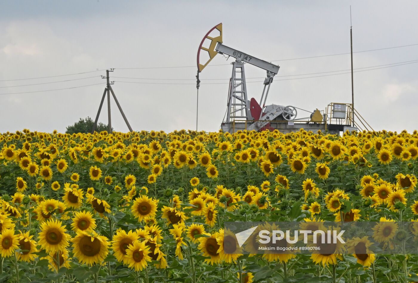 Russia Oil Industry