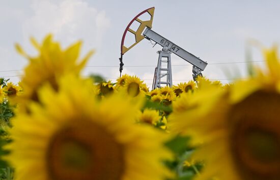 Russia Oil Industry