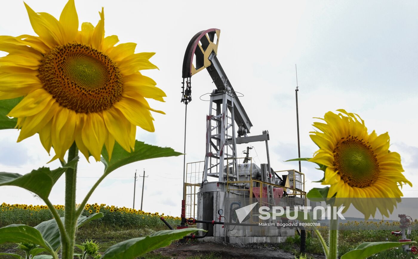 Russia Oil Industry
