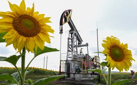 Russia Oil Industry