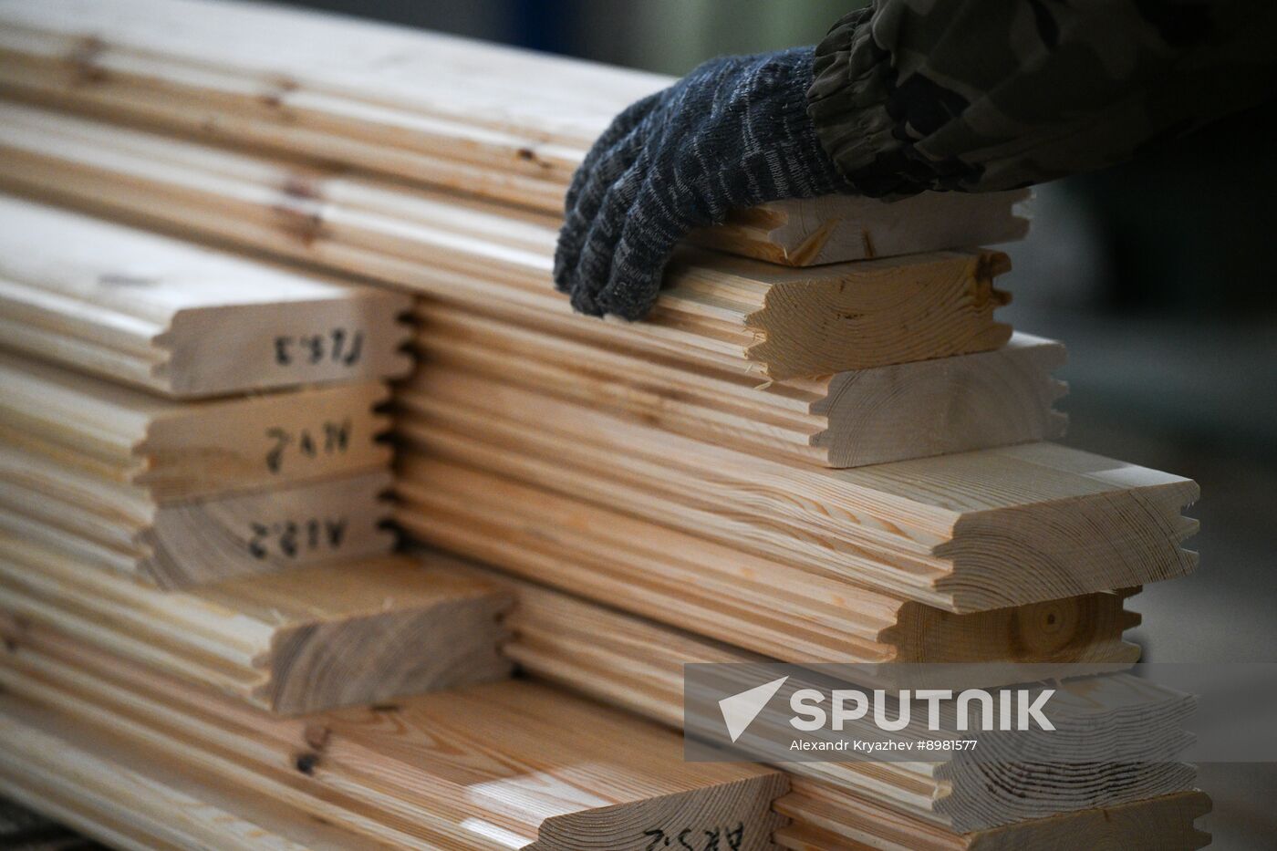 Russia Timber Industry