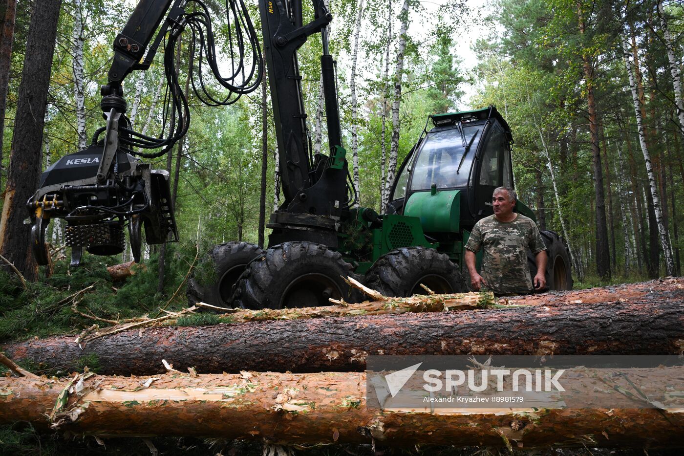 Russia Timber Industry