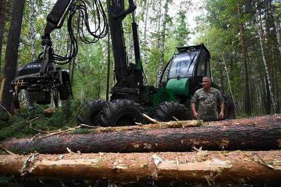 Russia Timber Industry