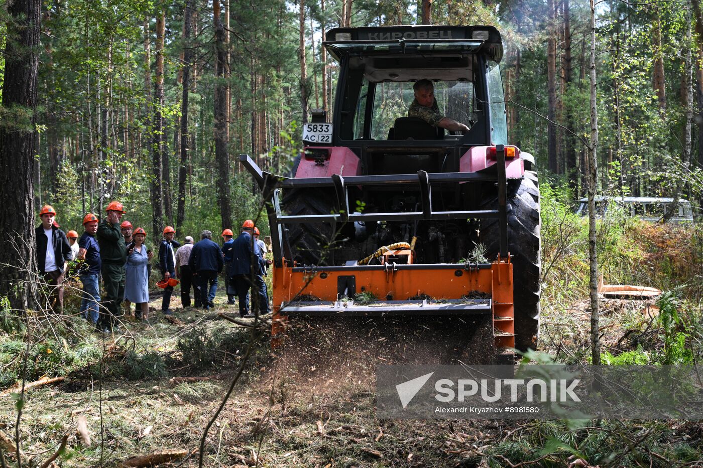 Russia Timber Industry
