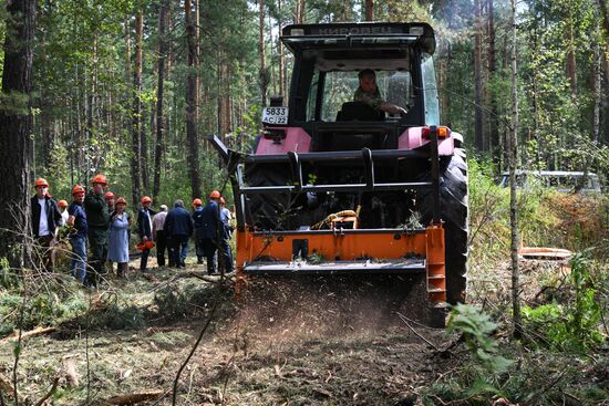 Russia Timber Industry