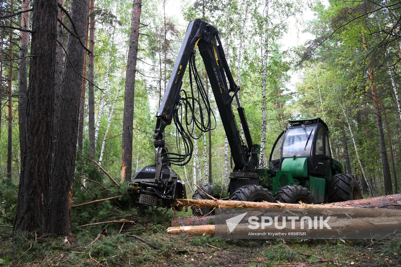 Russia Timber Industry