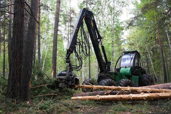 Russia Timber Industry