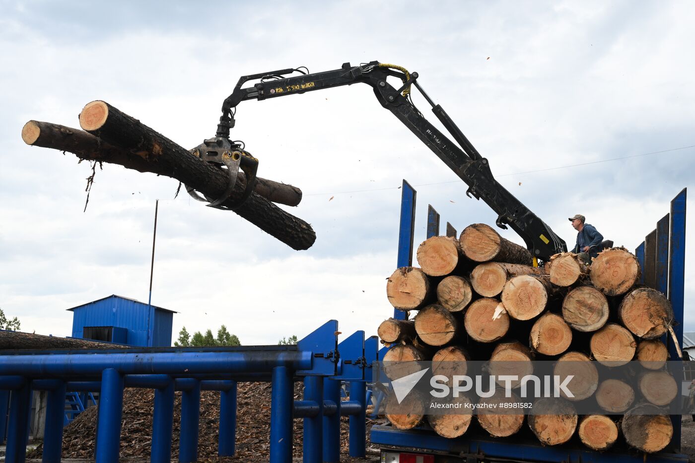 Russia Timber Industry