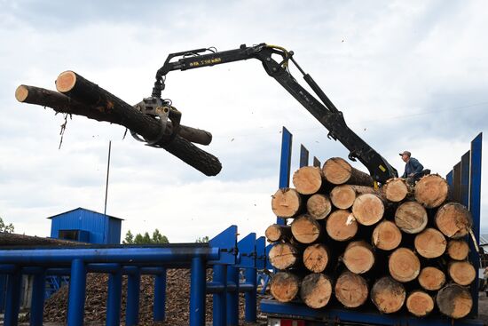 Russia Timber Industry