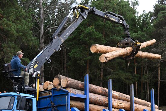 Russia Timber Industry