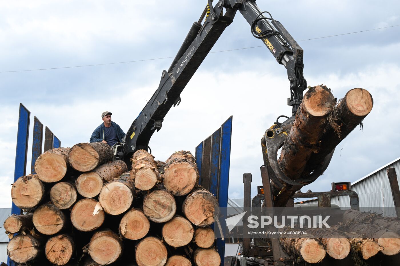 Russia Timber Industry