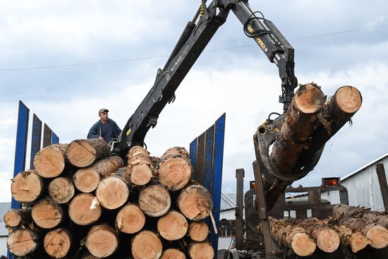 Russia Timber Industry