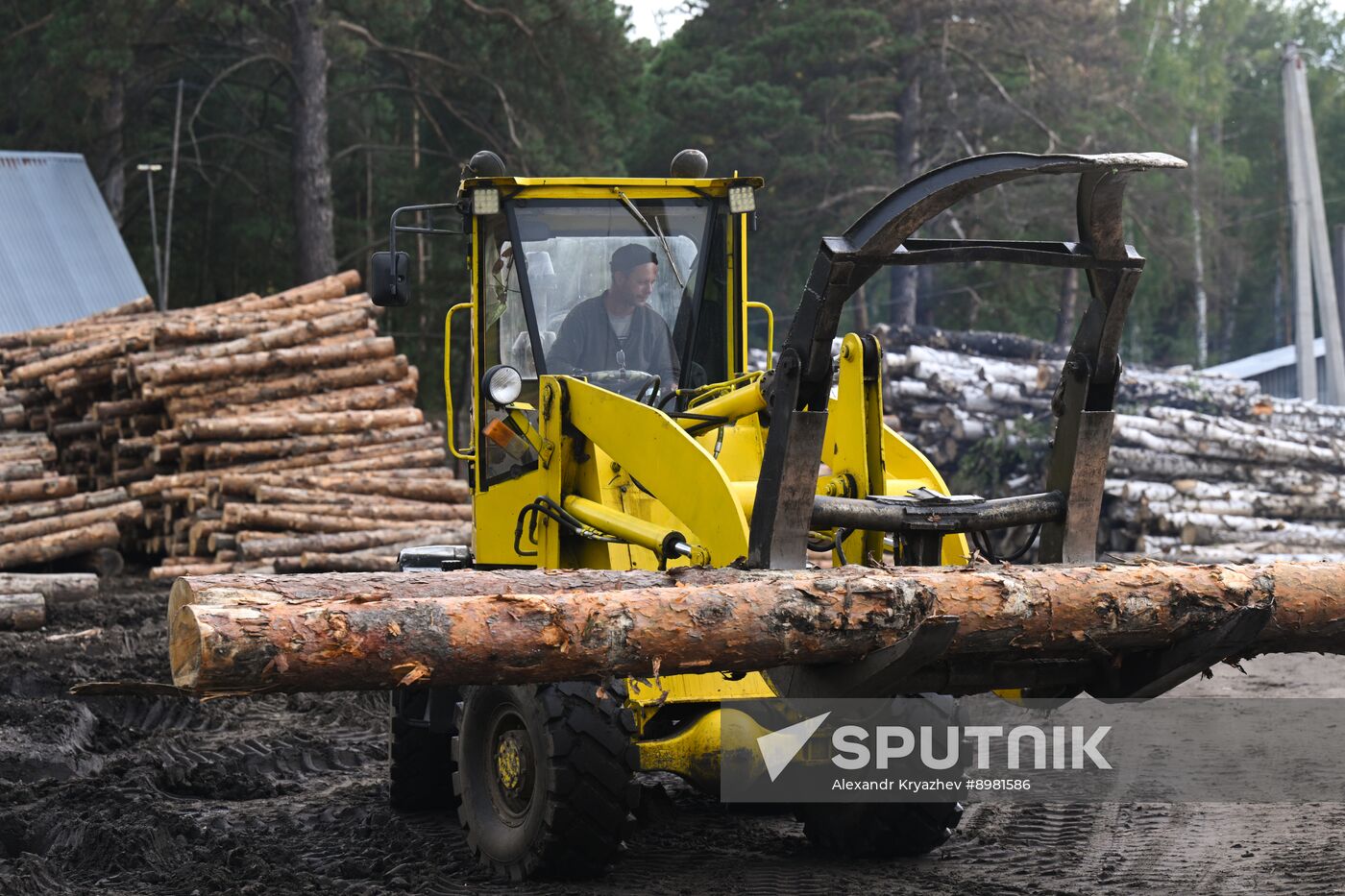 Russia Timber Industry