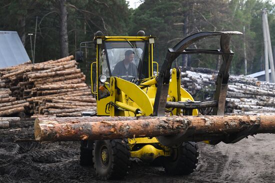 Russia Timber Industry