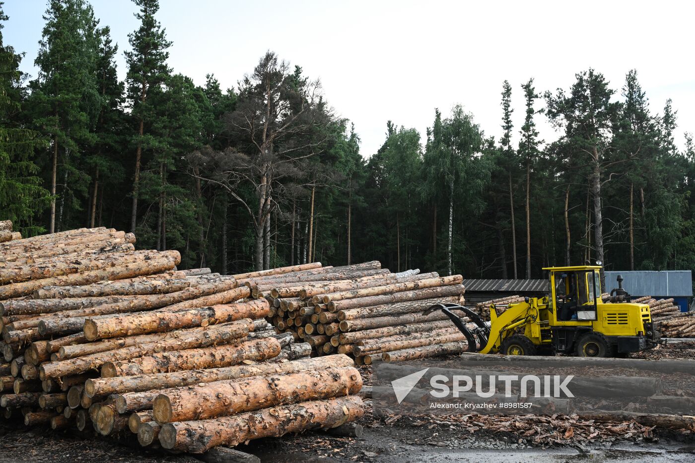 Russia Timber Industry