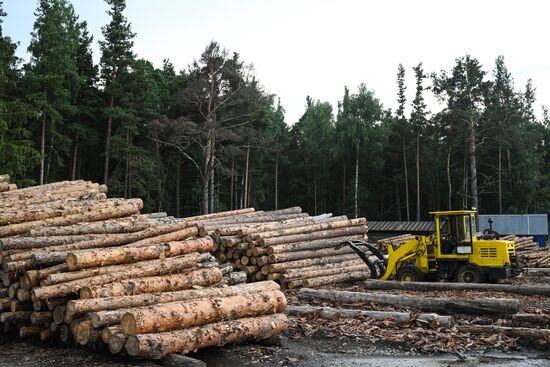 Russia Timber Industry