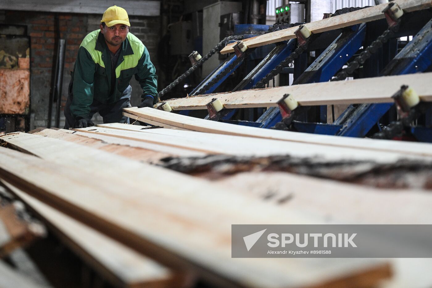 Russia Timber Industry