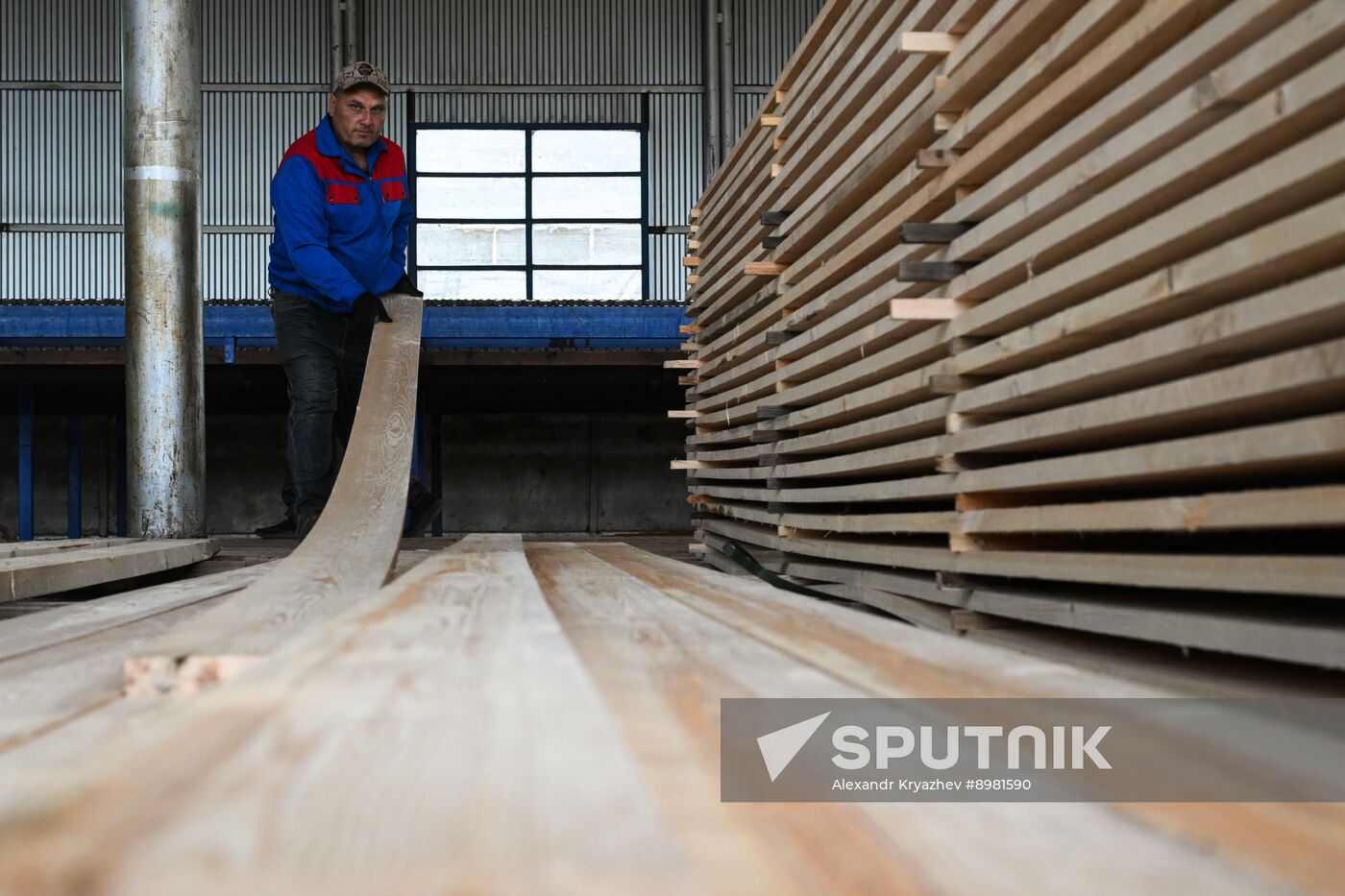 Russia Timber Industry
