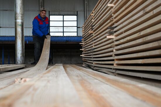 Russia Timber Industry