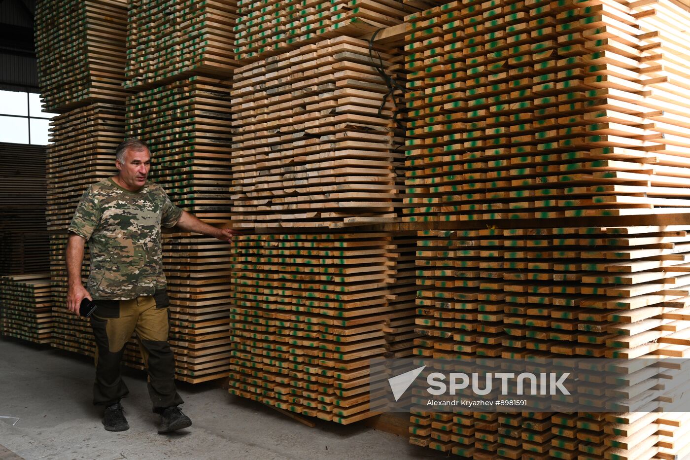 Russia Timber Industry