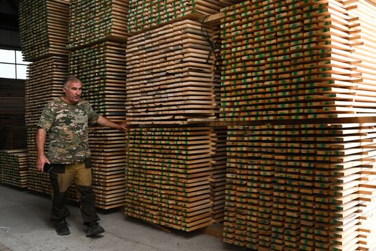 Russia Timber Industry