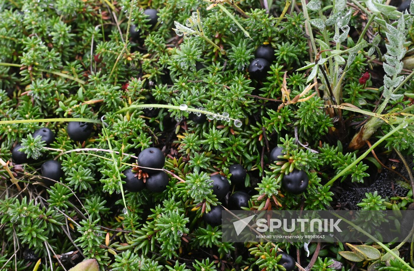 Russia Kamchatka Territory