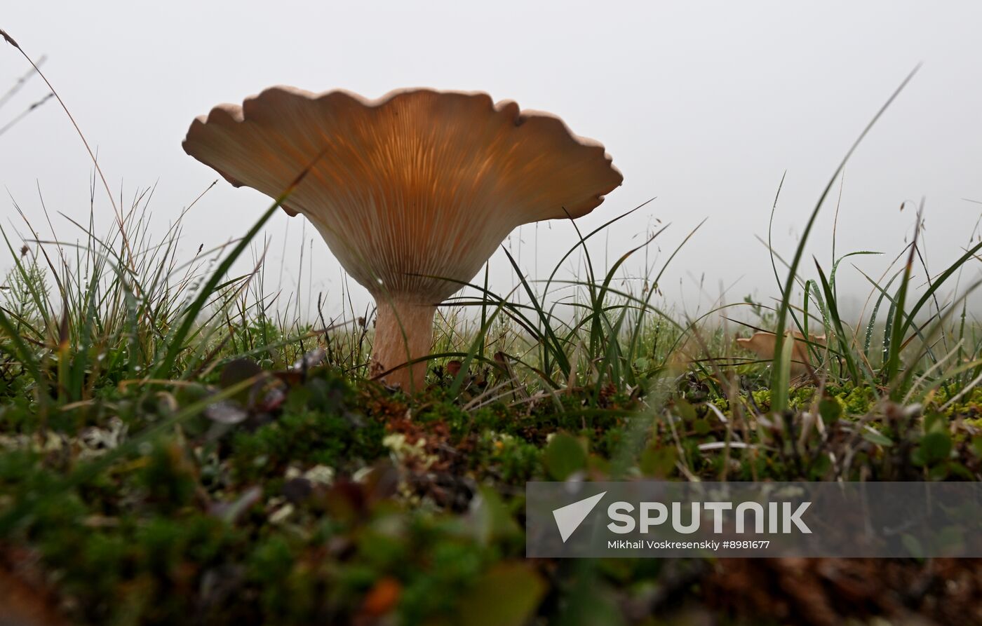 Russia Kamchatka Territory