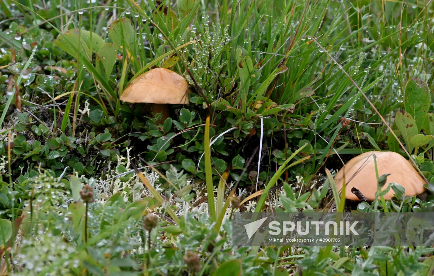 Russia Kamchatka Territory