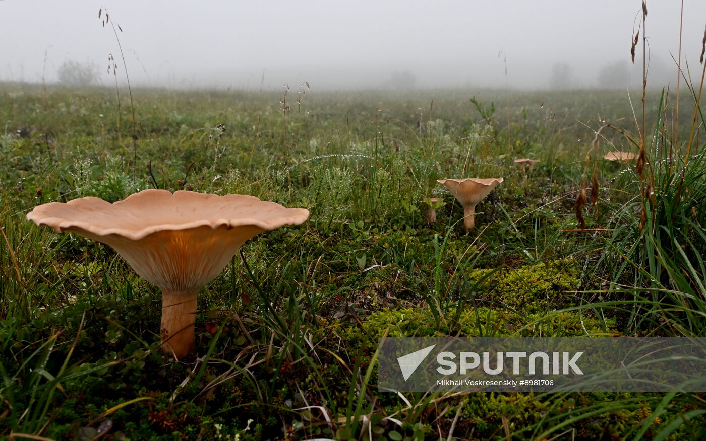 Russia Kamchatka Territory