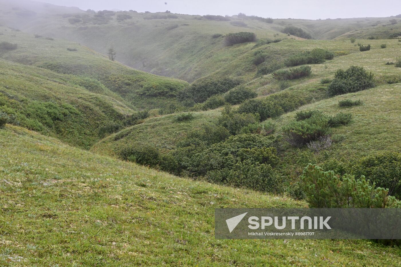 Russia Kamchatka Territory