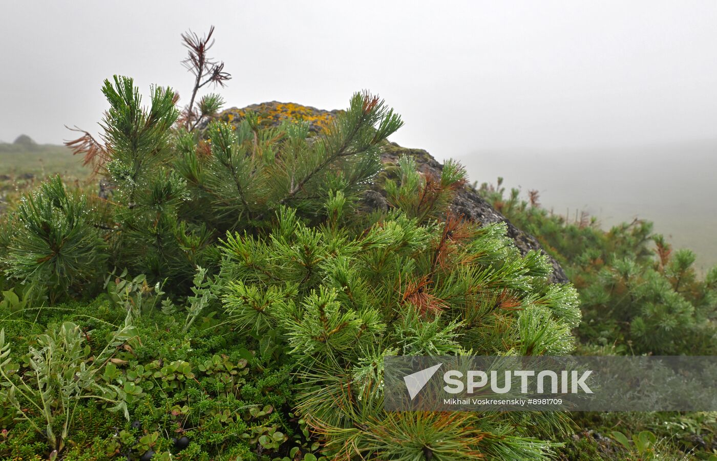 Russia Kamchatka Territory