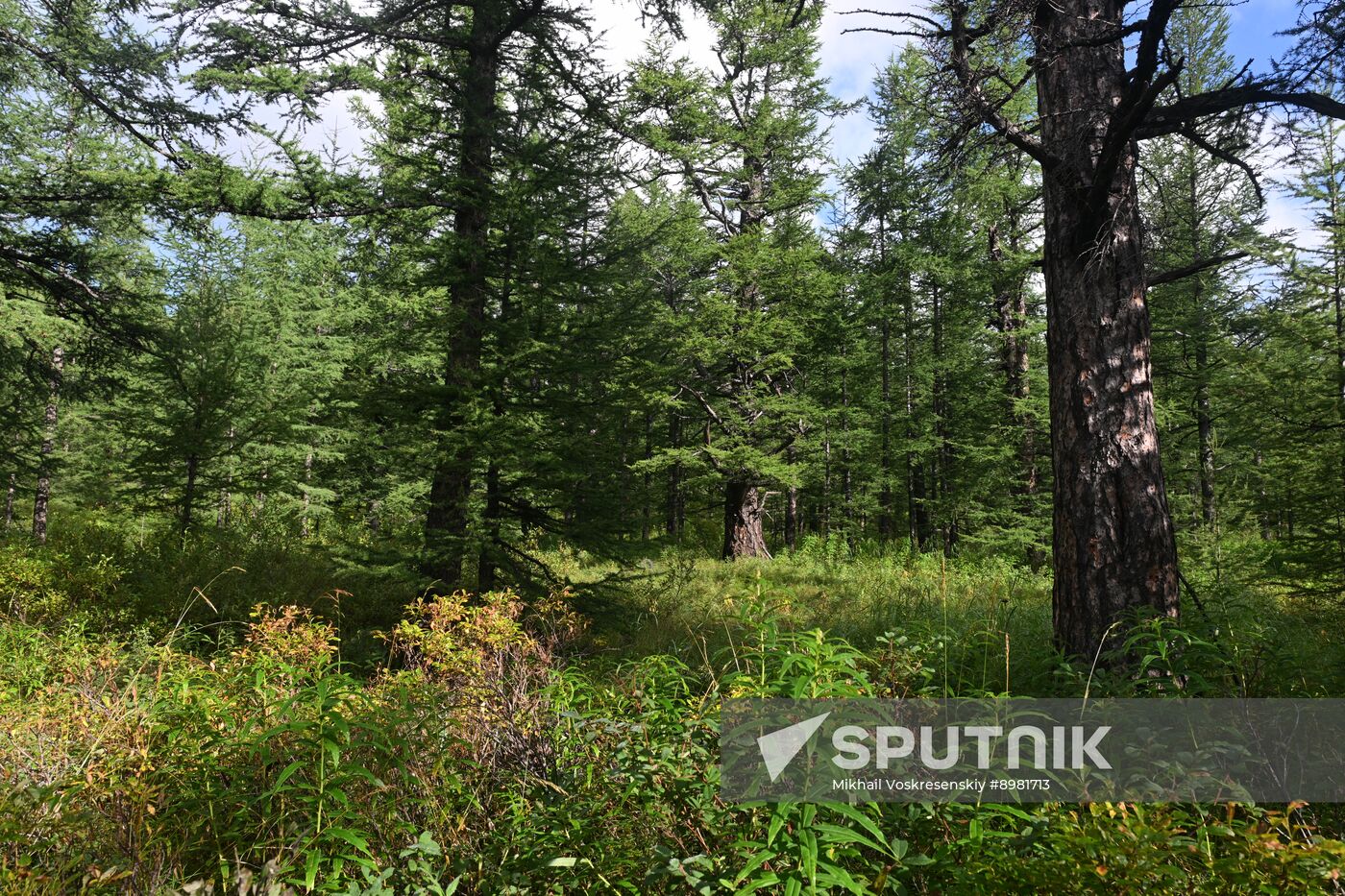 Russia Kamchatka Territory