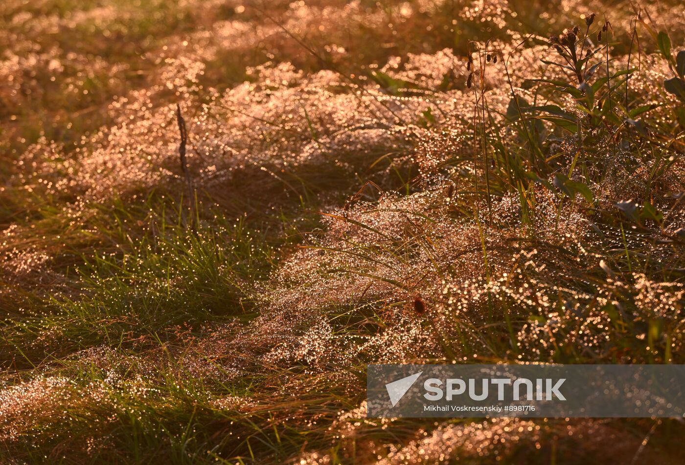 Russia Kamchatka Territory