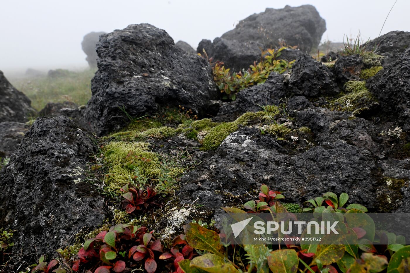 Russia Kamchatka Territory