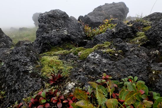Russia Kamchatka Territory