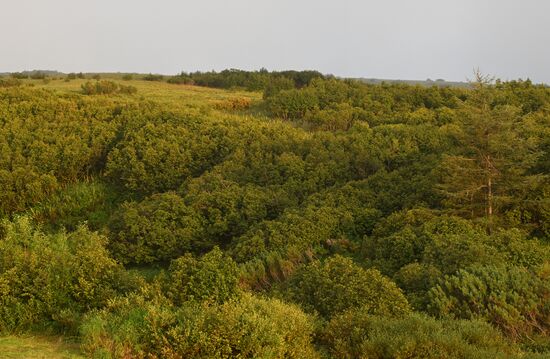Russia Kamchatka Territory