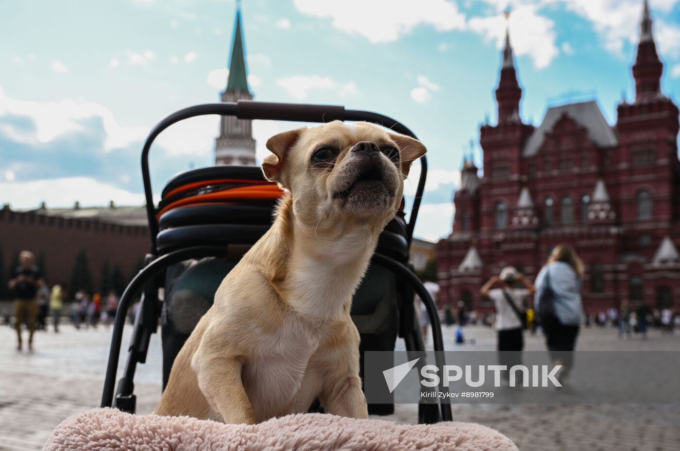 Russia Daily Life