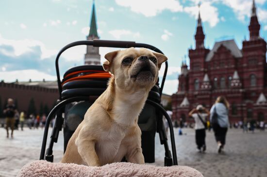 Russia Daily Life