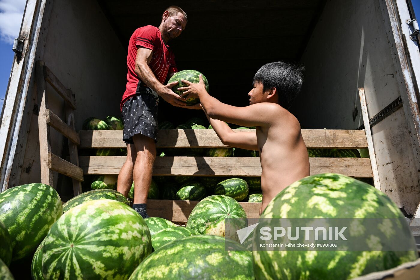 Russia Agriculture Watermelon Season