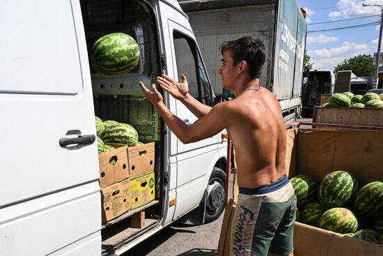 Russia Agriculture Watermelon Season