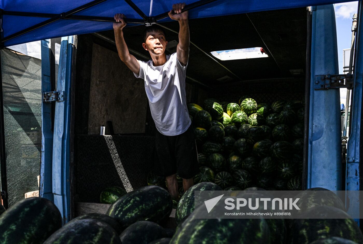Russia Agriculture Watermelon Season