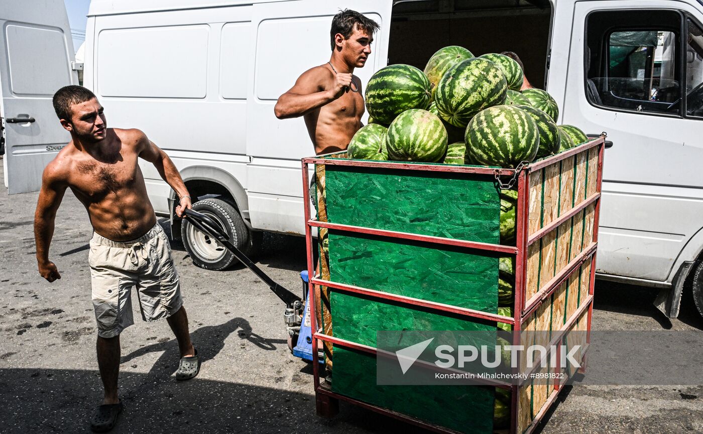 Russia Agriculture Watermelon Season