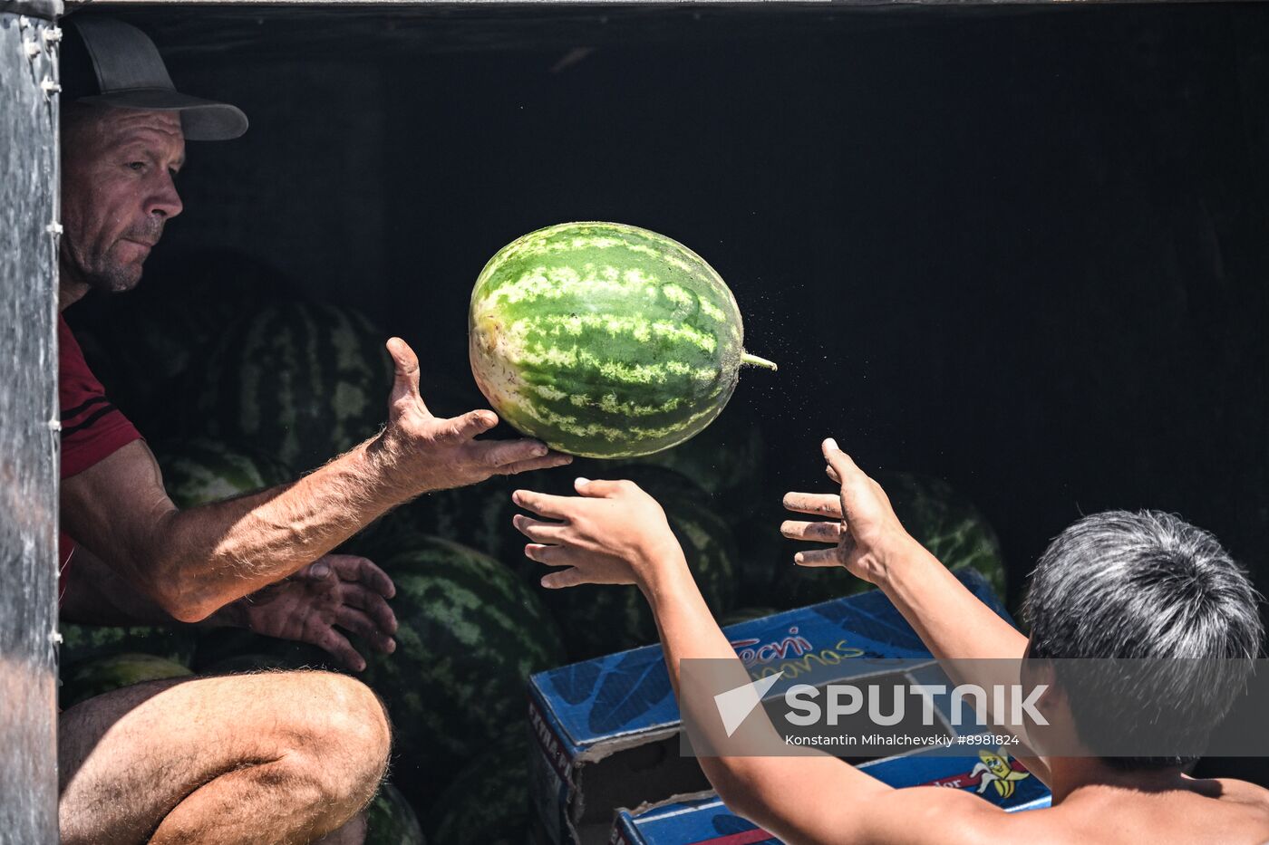 Russia Agriculture Watermelon Season