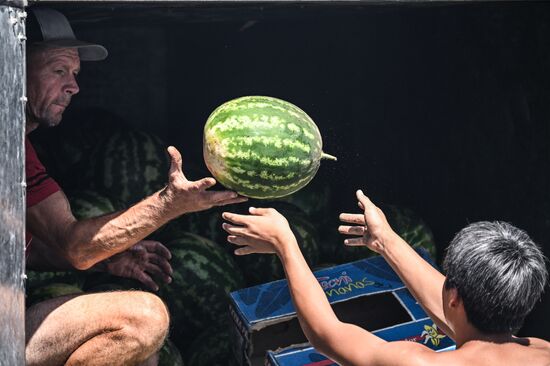 Russia Agriculture Watermelon Season