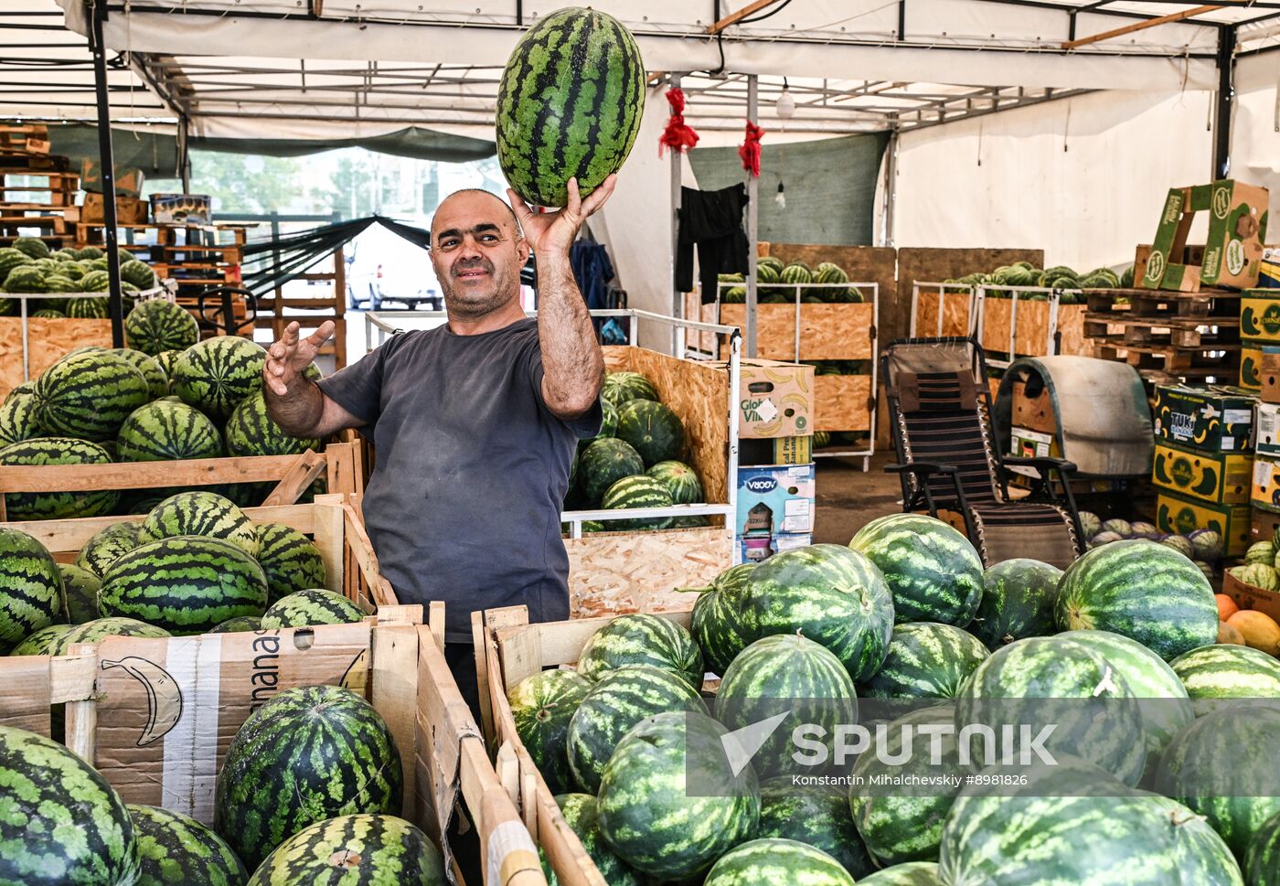 Russia Agriculture Watermelon Season