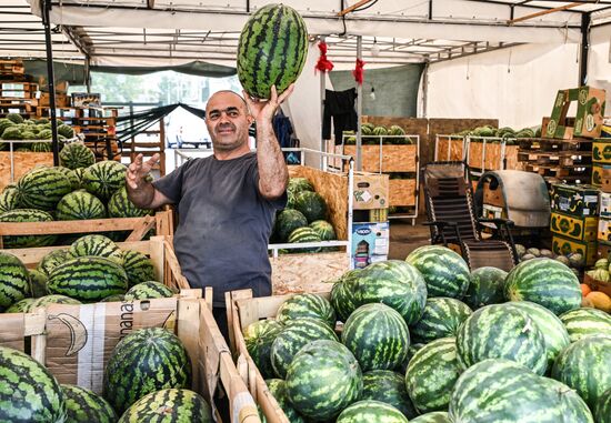 Russia Agriculture Watermelon Season
