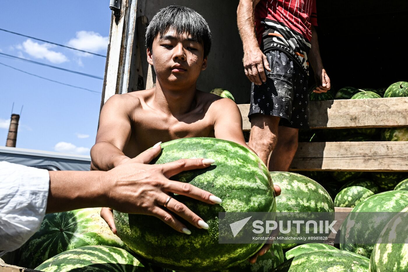 Russia Agriculture Watermelon Season