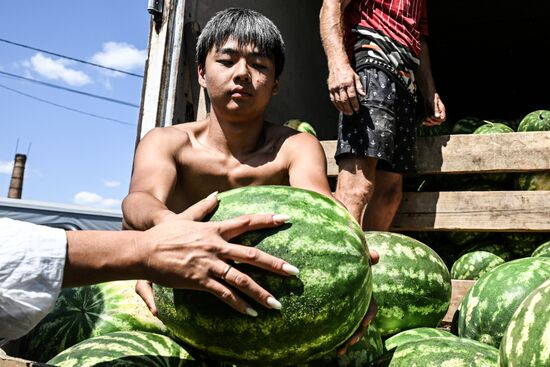 Russia Agriculture Watermelon Season