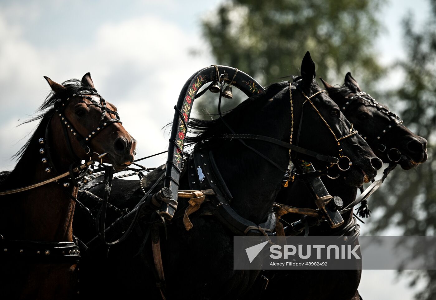 Russia Equestrian Festival